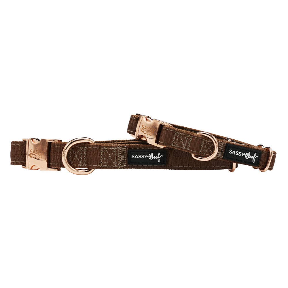 SASSY WOOF - Fall Dog Collar - Teddy: Small